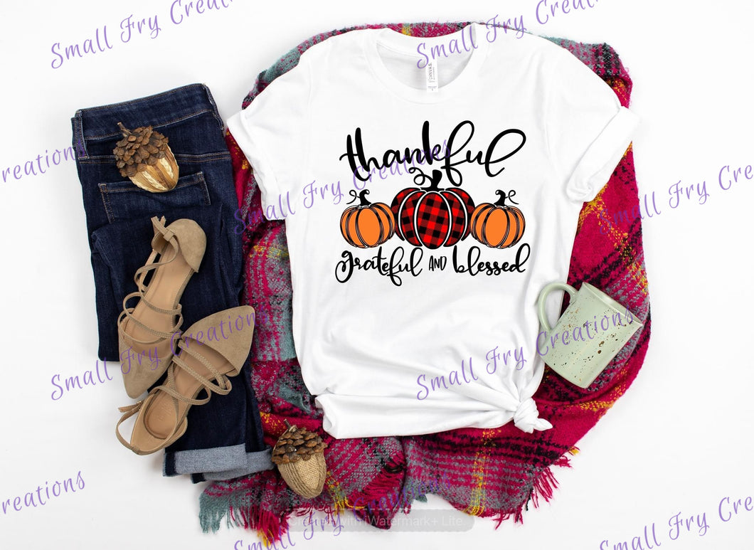 Thankful, Grateful, Blessed...